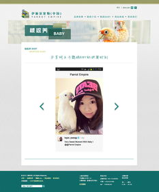 宠物用品网站设计 打造贴心便捷的在线购物体验