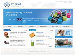 网站设计与软件开发 双翼齐飞，共创数字未来