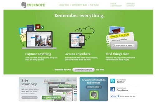 网页设计中如何科学配色 从理论到实践的网站设计指南